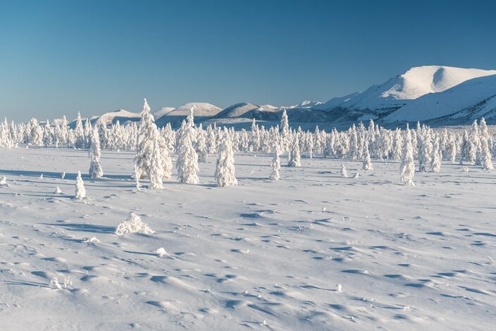 Foto gemaakt door EurasiaOverland - Verchojansk gebergte