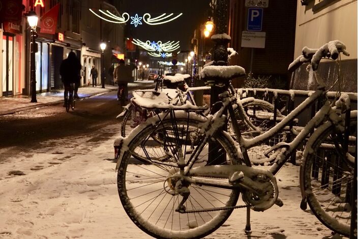 Foto gemaakt door Fas Vermeulen - Leerdam - Archieffoto vorig jaar, toen viel regionaal ook sneeuw in november.