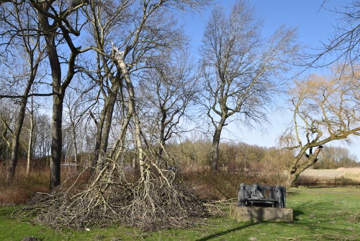 Foto gemaakt door Anne-Marie van Iersel - Vlissingen - Een van de vele bomen die sneuvelde na storm Eunice.