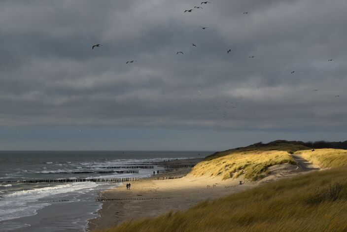 Foto gemaakt door Anne-Marie van Iersel - Vlissingen - Het eerste lichtpuntje