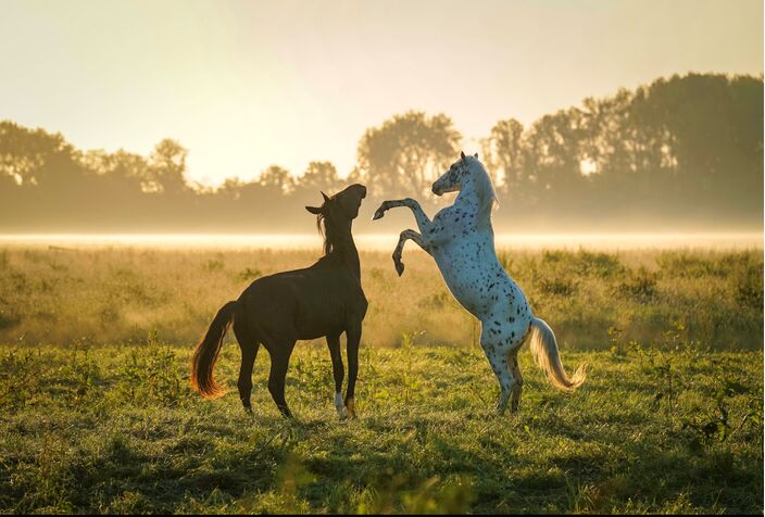 Foto gemaakt door John Oomen - Heukelum - Ook vandaag weer een schitterende start van de dag.