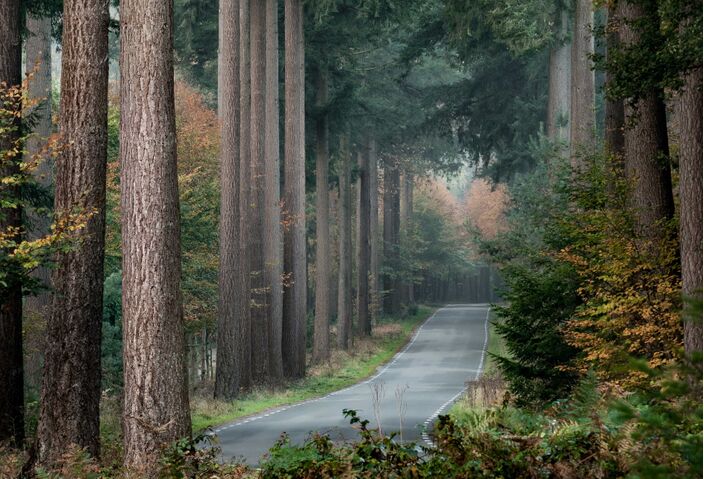 Foto gemaakt door Chris Biesheuvel - Speulderbos - Grote verschillen in het land door slepend front