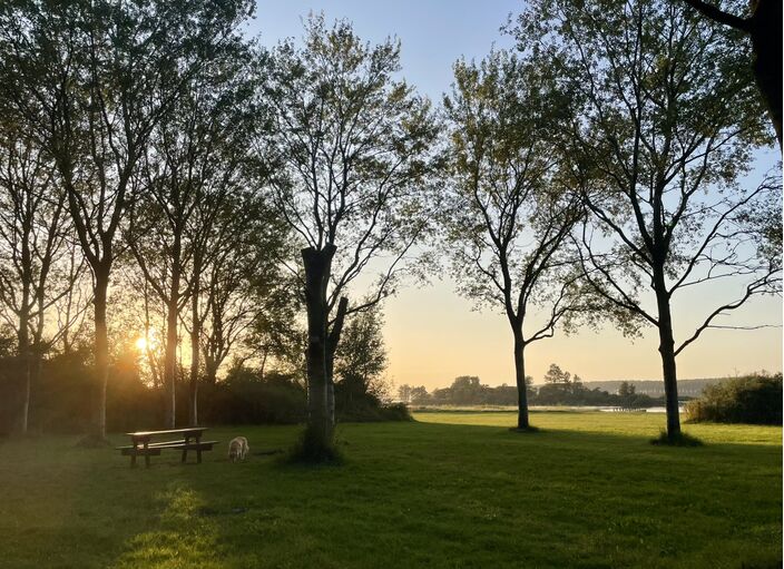 Foto gemaakt door auteur - Wolphaartsdijk