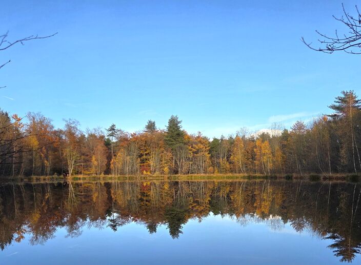 Foto gemaakt door Priscilla Mulder - Jipsinghuizen - Mild herfstweer met zon Foto gemaakt door Priscilla Mulder - Jipsinghuizen - Mild herfstweer met zon