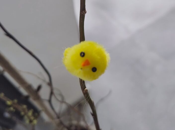 Foto gemaakt door Ellen van Balderen - Almelo 