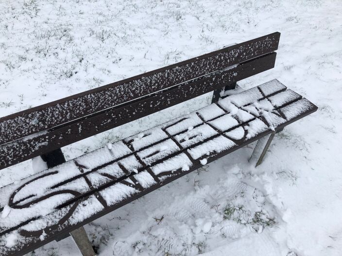 Foto gemaakt door Jolanda Bakker, in januari 2021 - Zevenhuizen - Vanaf donderdag kunnen in Nederland opnieuw winterse buien vallen. Daarna wordt het spannend. 