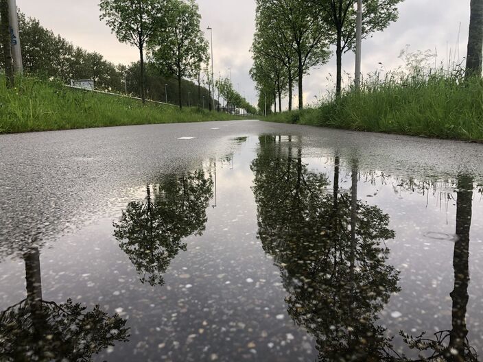 Foto gemaakt door Jolanda Bakker - Zevenhuizen - De regen is voorbij, maar de regen- en onweersbuien blijven. Daarbij is het eerst tussen 15 en 18 graden, maar vanaf vrijdag wordt het een stuk warmer.