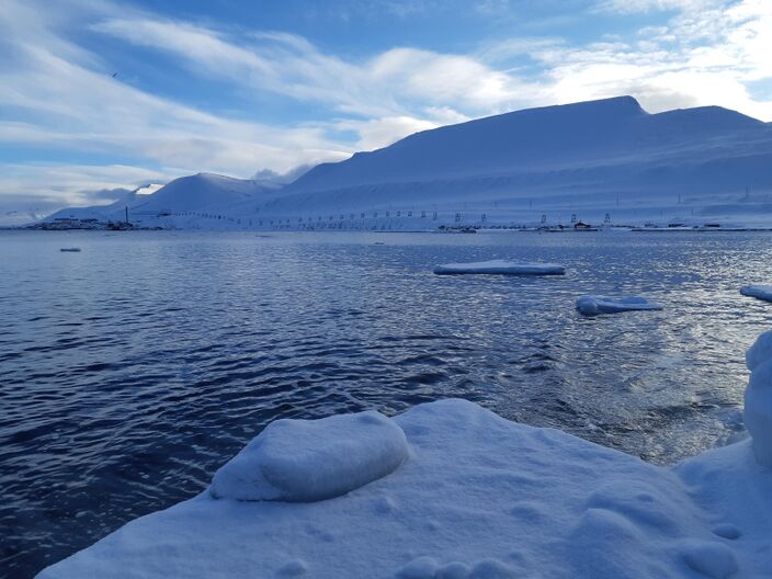 Foto gemaakt door Marjolein Gevers - Longyearbyen, Spitsbergen - De hoeveelheid zeeijs op de noordpool neemt steeds verder af. 