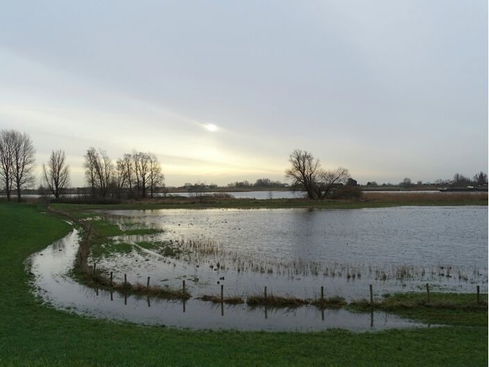 Foto gemaakt door Dilia van Zon - de Lek - De uiterwaarden beginnen vol te stromen