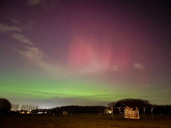 Foto gemaakt door Eva Sandelowsky - Utrecht