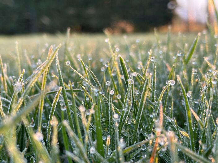 Foto gemaakt door Jessie van Neer - Beesel - Winterser dan dit wordt het nauwelijks...
