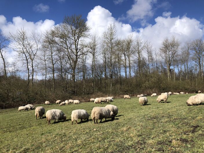 Foto gemaakt door Jolanda Bakker - Zevenhuizen - Is het vandaag nog relatief koud, vanaf morgen wordt het opnieuw een stuk zachter. Vanaf vrijdag kan het wel weer flink regenen. Wordt het daarna wel beter?