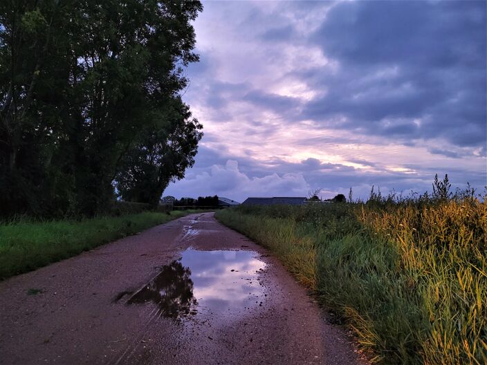 Foto gemaakt door Marjan den Boer - Wijnandsrade - Na alle regen van gisteren zijn vandaag eerst enkele regen- en onweersbuien aan zet, die vooral over de noordelijke helft van het land lijken te trekken.