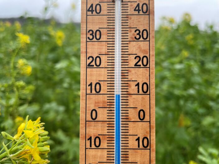 Foto gemaakt door Jessie van Neer - Van winterweer was afgelopen maand geen sprake, sterker nog, de koudste februaridag was zelfs zachter dan ooit.