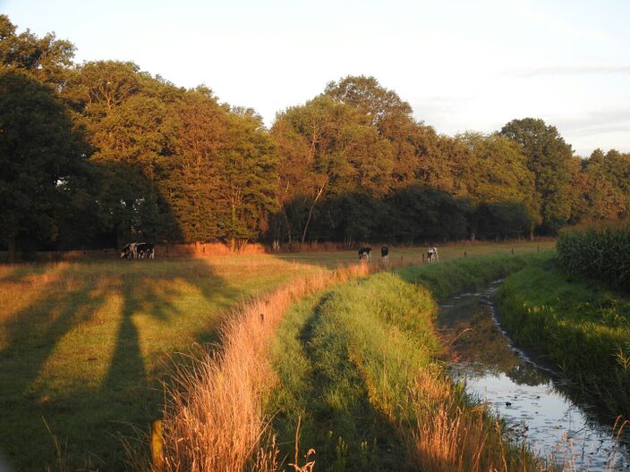 Foto gemaakt door Ankie Grijsen - Bredevoort - Nu de meteorologische zomer op zijn einde loopt en de herfst nadert, kijken we vooruit. Krijgen we nog meer warmte en droogte? Of verandert er ook iets? 