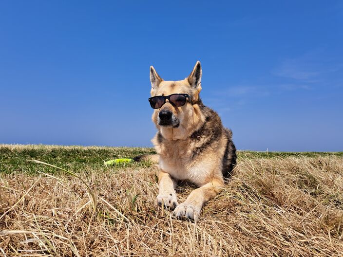 Foto gemaakt door Nel van Es - Den Helder - Nog nooit was het zo warm op 9 juni