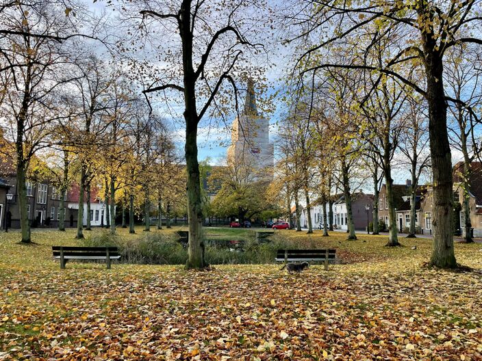 Foto gemaakt door Erica van Leeuwen - de Bruijn - Kloetinge - Het is de komende dagen nog steeds zacht en ook wisselvallig in Nederland. Maar de grens met koudere lucht in het noordoosten komt wel dichterbij. 