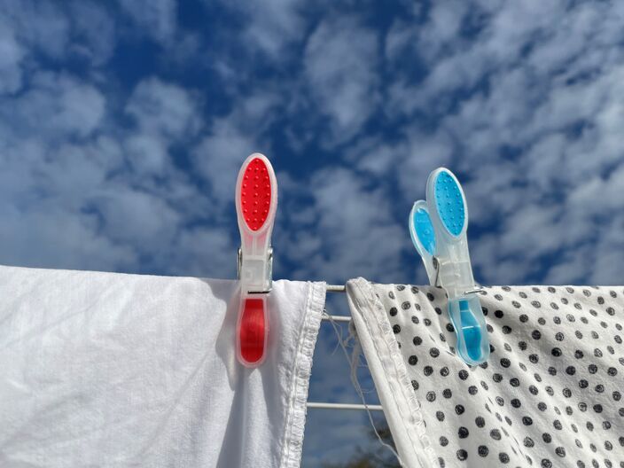 Foto gemaakt door Erica van Leeuwen - de Bruijn - Kloetinge - Niet eerder is het in De Bilt op 24 februari zo warm geworden als vandaag. 