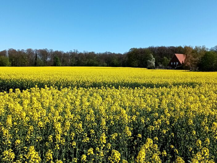 Foto gemaakt door Tonny Morsink - De Lutte - Na het zonnige en qua temperaturen aangenaam verlopen paasweekeinde, lijkt het fraaie lenteweer ook de rest van deze week in grote lijnen aan te houden.