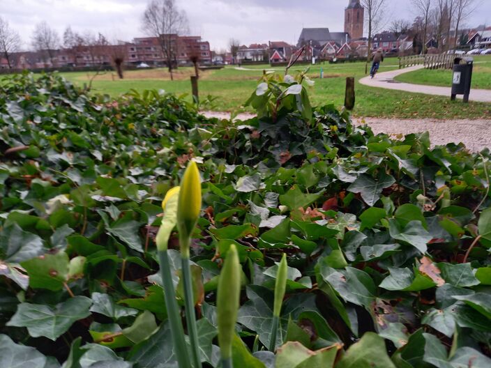 Foto gemaakt door Wim Ruesink - Winterswijk