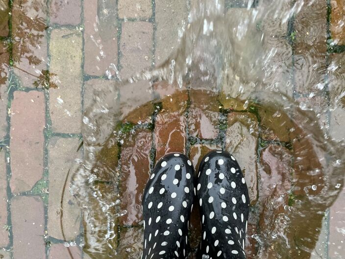 Foto gemaakt door Erica van Leeuwen - de Bruin - Kloetinge - Regenlaarzen zijn deze maand geen overbodige luxe