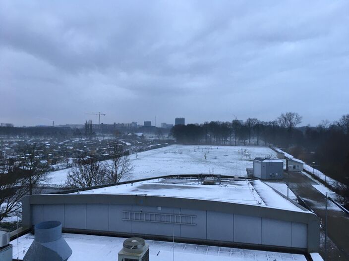 Foto gemaakt door Thom Zwagers - De Bilt - Voor het eerst in bijna 2 jaar ligt er in de ochtend weer sneeuw bij het KNMI in De Bilt. Achter de bomenrij staat een boerderijtje en daar wordt de dagelijks de officiële neerslag- en sneeuwmeting verricht.