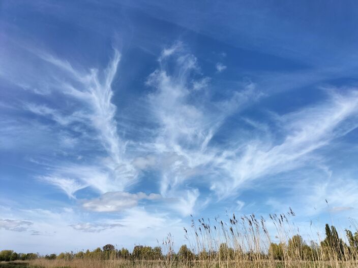 Foto gemaakt door Dirk Riet - Eilandspolder De Rijp - Uitwaaiende cirrus op een zonnige lentedag