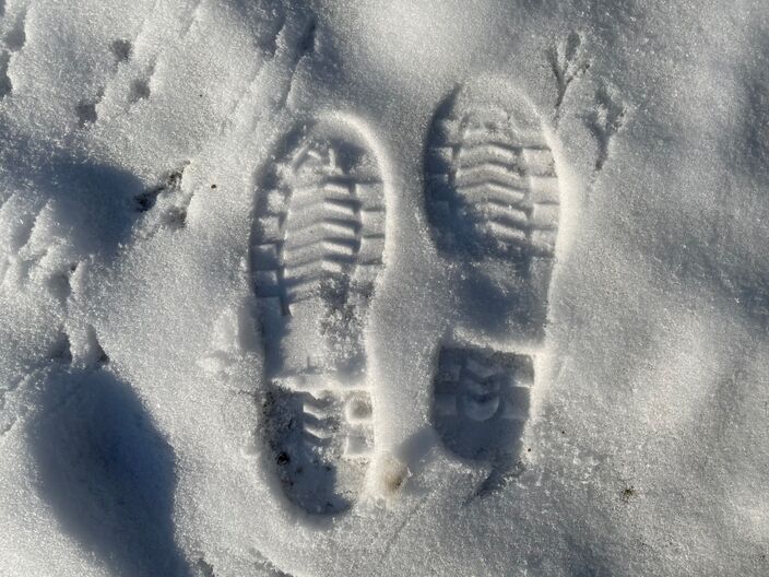 Foto gemaakt door Erica van Leeuwen-de Bruijn - Kloetinge - Is sneeuw in de aprilmaand eigenlijk heel bijzonder?