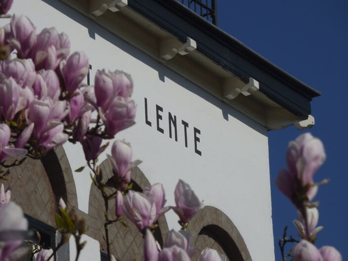 Foto gemaakt door Chris Meeuwis - Hilversum - De lente begint morgen