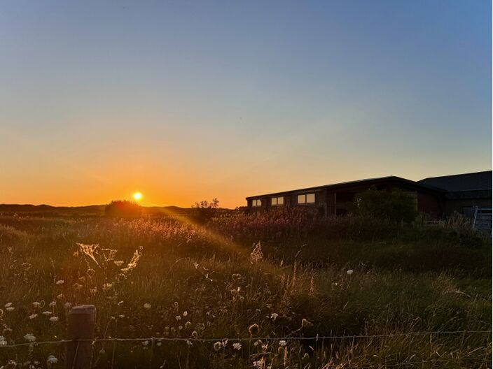 Foto gemaakt door Lisette Theijssen - Texel
