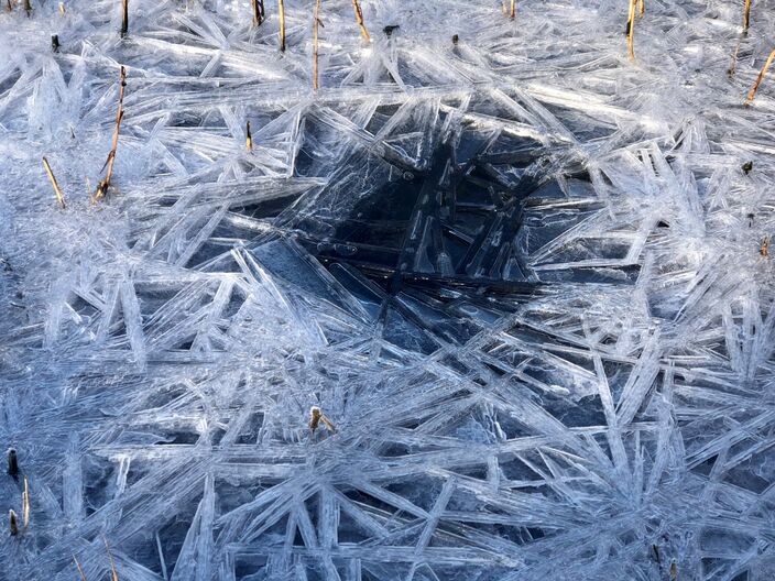 Foto gemaakt door Jolanda Bakker - De meteorologische winter begint met temperaturen (ruim) onder normaal, maar wordt het ook echt winterweer?