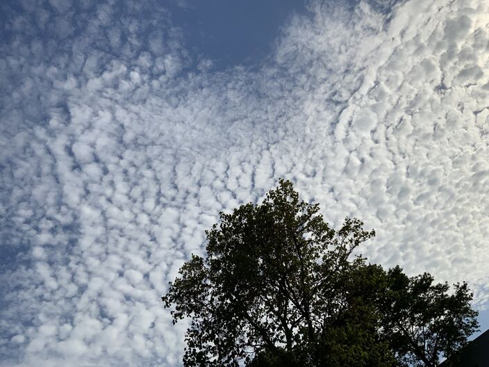 Foto gemaakt door Jolanda Bakker - Zevenhuizen - Het weer in Nederland ziet er deze week zomers, maar soms vallen ook (forse) onweersuien. Woensdag kan het voor de eerste keer tropisch warm worden. 