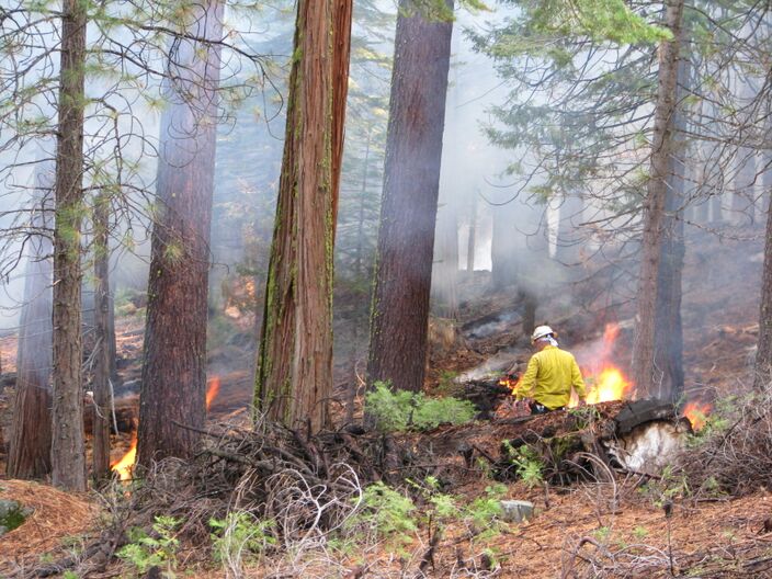 Foto gemaakt door Wiki - Yosemite Park - USA - De brandweer is bezig met een zogeheten beheerbrand in het bekende Amerikaanse Yosemite Park. 