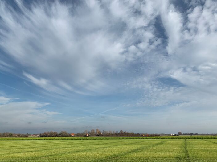 Foto gemaakt door Erica van Leeuwen - Kloetinge - De warmste 14 november ooit!