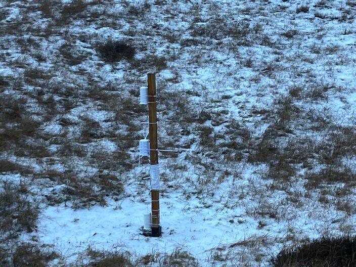 Foto gemaakt door Pieter Bliek - Bergense Bos - Locatie Bol-2 in het Bergense Bos, vorige week met de sneeuw van dat moment. 