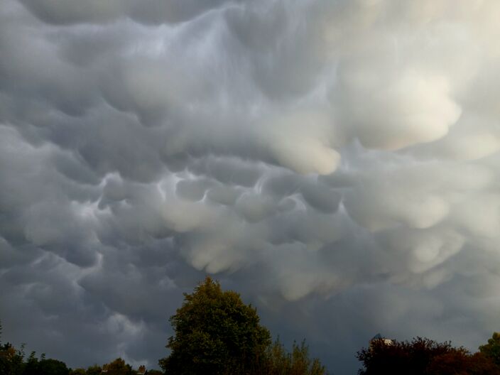 Foto gemaakt door Rieneke Veenstra - Franeker - Zeer fraai beeld van mammatus wolken onder een onweersbui Foto gemaakt door Rieneke Veenstra - Franeker - Zeer fraai beeld van mammatus wolken onder een onweersbui