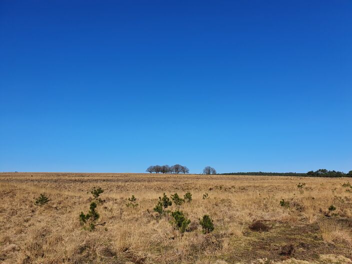 Foto gemaakt door Reinout van den Born - Terletseveld - Wat waren de luchten in de lente blauw!