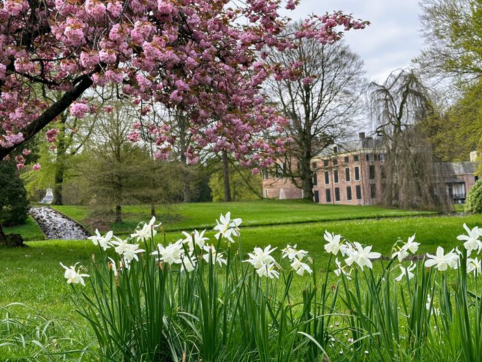 Foto gemaakt door Rinie - Het zijn koude dagen in Nederland met temperaturen die vandaag en morgen nauwelijks boven 10 graden uitkomen. Koningsdag wordt iets zachter en mogelijk droog. 