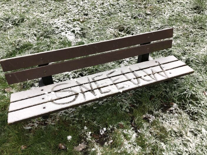 Foto gemaakt door Jolanda Bakker - Zevenhuizen - In de winter van 2021 viel op de meeste plaatsen de eerste sneeuw pas in januari of februari.