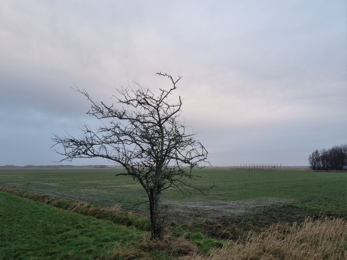 Foto gemaakt door Frans Alderse Baas - De Cocksdorp-Texel - Veel bewolking en soms wat (mot)regen, in combinatie met erg hoge temperaturen voor de tijd van het jaar.