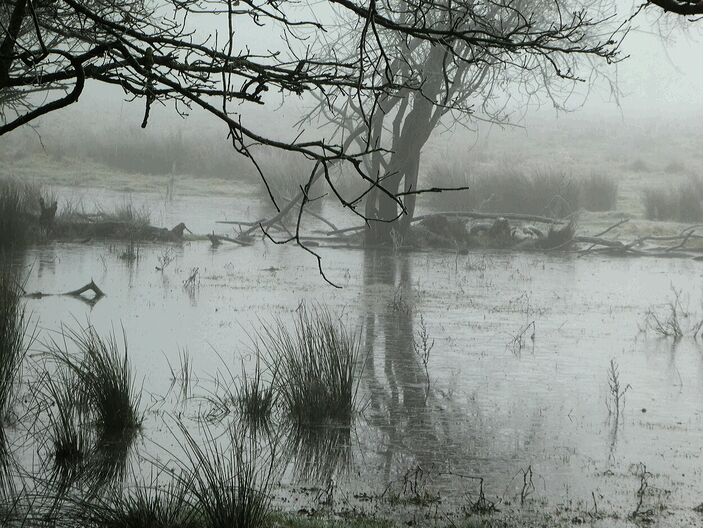 Foto gemaakt door Huub Paar - Weert - Het is de komende dagen vaak rustig weer in Nederland.