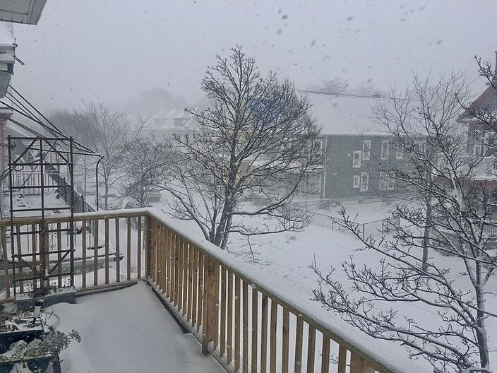 Foto gemaakt door Wikipedia (Andre Carrotflower) - Ter illustratie, Buffalo tijdens een blizzard op tweede kerstdag 2020. 