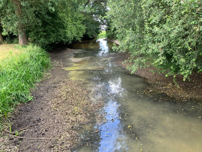 Foto gemaakt door Waterschap Vallei en Veluwe - Beken staan droog en de natuur kleurt geel. Op sommige plaatsen laten bomen al bruin blad vallen