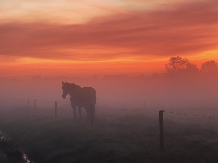 Foto gemaakt door Karin Andreas - Scharendijke - De mooie nazomerse dagen beginnen door een koude rustige nacht vaak met wat ochtendmist. Dit levert prachtige foto's op, zoals deze in Zeeland. Foto gemaakt door Karin Andreas - Scharendijke - De mooie nazomerse dagen beginnen door een koude rustige nacht vaak met wat ochtendmist. Dit levert prachtige foto's op, zoals deze in Zeeland.