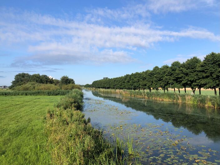 Foto gemaakt door Jolanda Bakker - Zevenhuizen - Forceert de  zomer volgende week eindelijk een doorbaak?