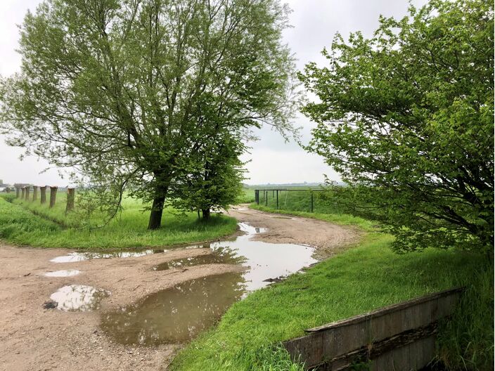 Foto gemaakt door Jolanda Bakker - Zevenhuizen - Grote plassen in het land na de regen van donderdag. 