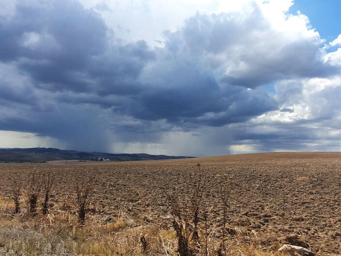 Foto gemaakt door Reinout van den Born - Andalusië - Eindelijk regende het hard in het zuiden van Spanje. De blijdschap was groot. Inmiddels valt door het vele Saharazand soms ook modder uit de lucht. 