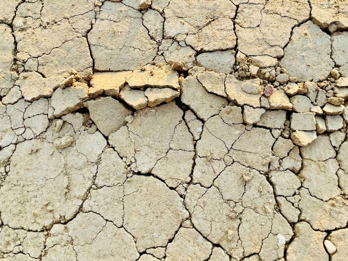 Foto gemaakt door Jessie van Neer  - Besel - Droogte