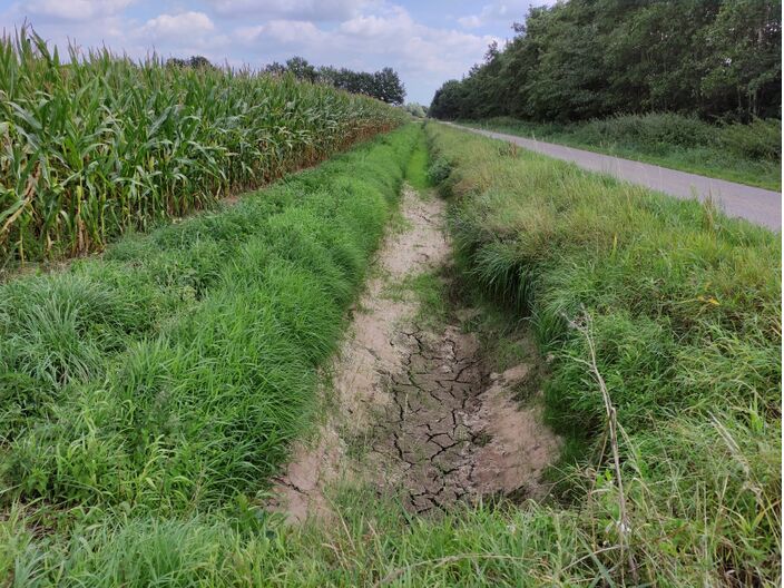 Foto gemaakt door Jordi Huirne  - Ruurlosebroek - Na 2018, 2019 en 2020 staan ook deze zomer de beekjes weer droog in de Achterhoek.