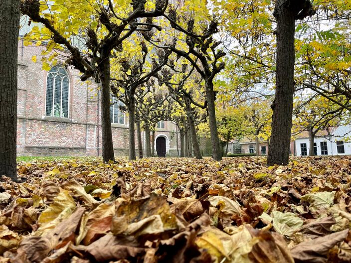 Foto gemaakt door Erica van Leeuwen - de Bruijn - Kloetinge - De bomen worden steeds kaler